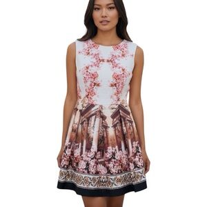 NWT Y&M Fit & Flare Greece Cherry Blossom Sleeveless Mini Dress Avant Garde